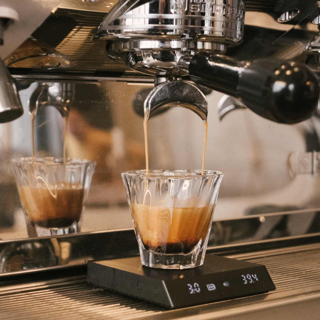 Drip Coffee or Espresso? What Are You Choosing?