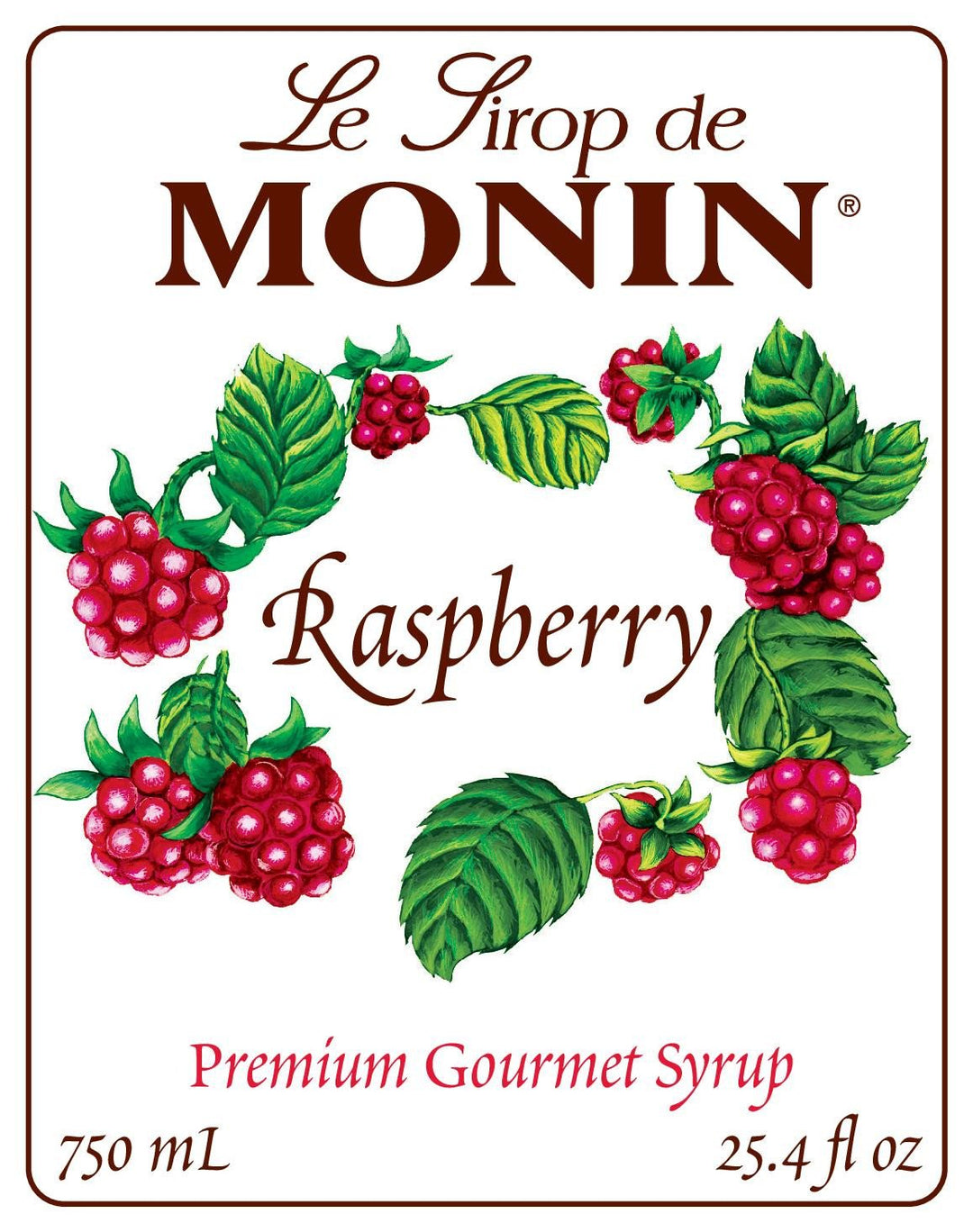 Monin Raspberry Syrup Case